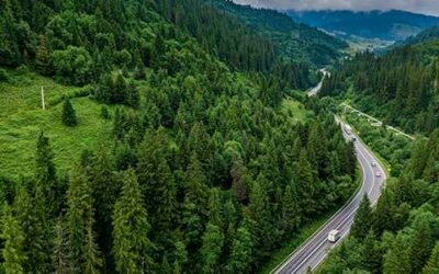 Les entreprises Dufour sont engagées dans la RSE